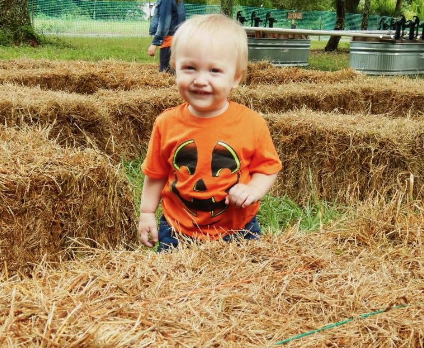 Massive Corn Maze In Jacksonville